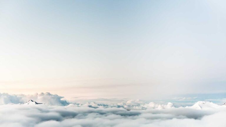 Where To Get 11Xplay Login Download Apk?