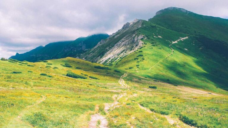 How To Download Cricbet99 Club Login App?